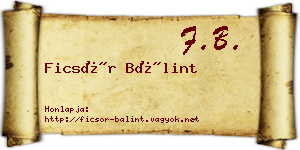 Ficsór Bálint névjegykártya